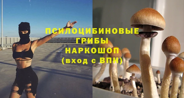 бошки Михайлов