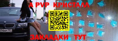 прущие крисы Кингисепп