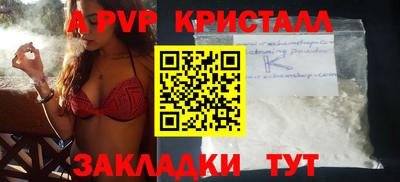 прущие крисы Кингисепп