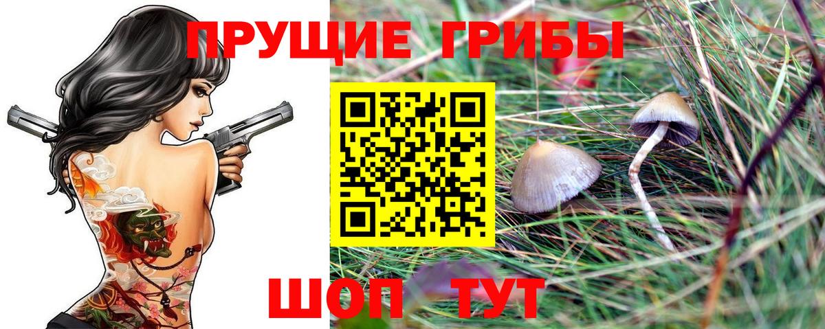 Галлюциногенные грибы прущие грибы Новороссийск