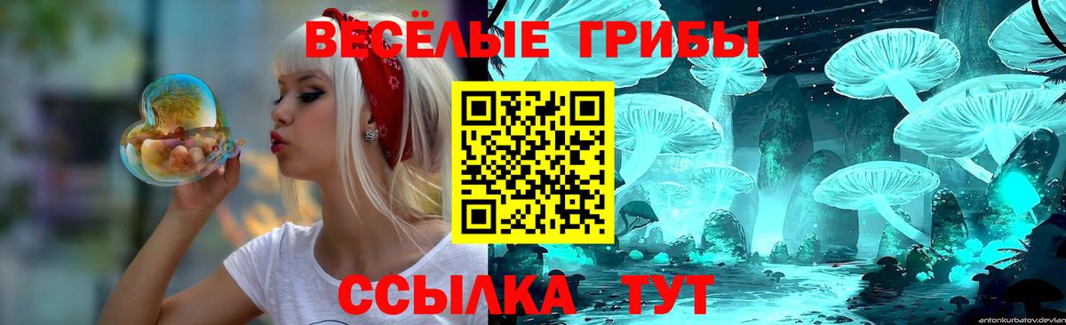 Галлюциногенные грибы Psilocybe  Вход с VPN  Псилоцибиновые грибы ЛСД  Новороссийск 